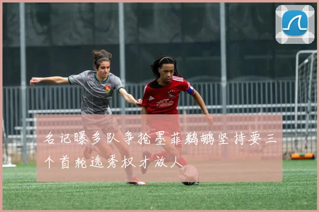 名记曝多队争抢墨菲鹈鹕坚持要三个首轮选秀权才放人
